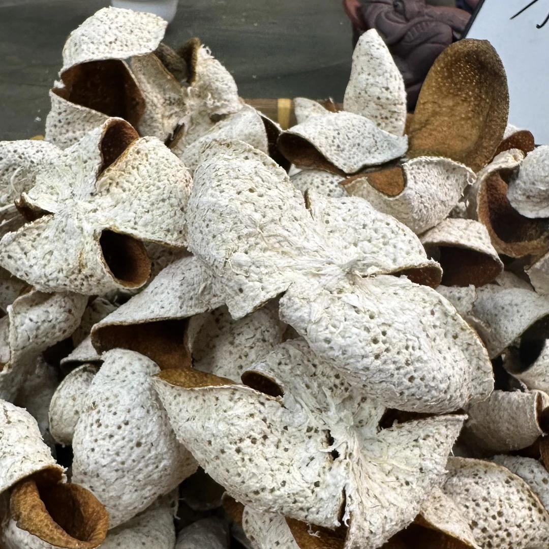 【霞姐福利/Z23】正宗新会陈皮 2024年茶坑积壳卷花二红皮（12年树）