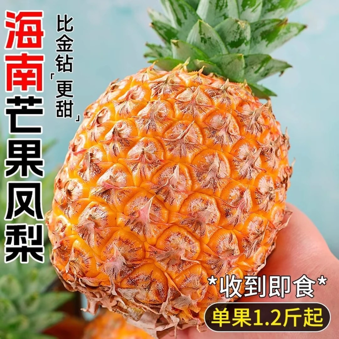 海南正宗芒果凤梨现摘现发非手撕金钻凤梨新鲜热带水果