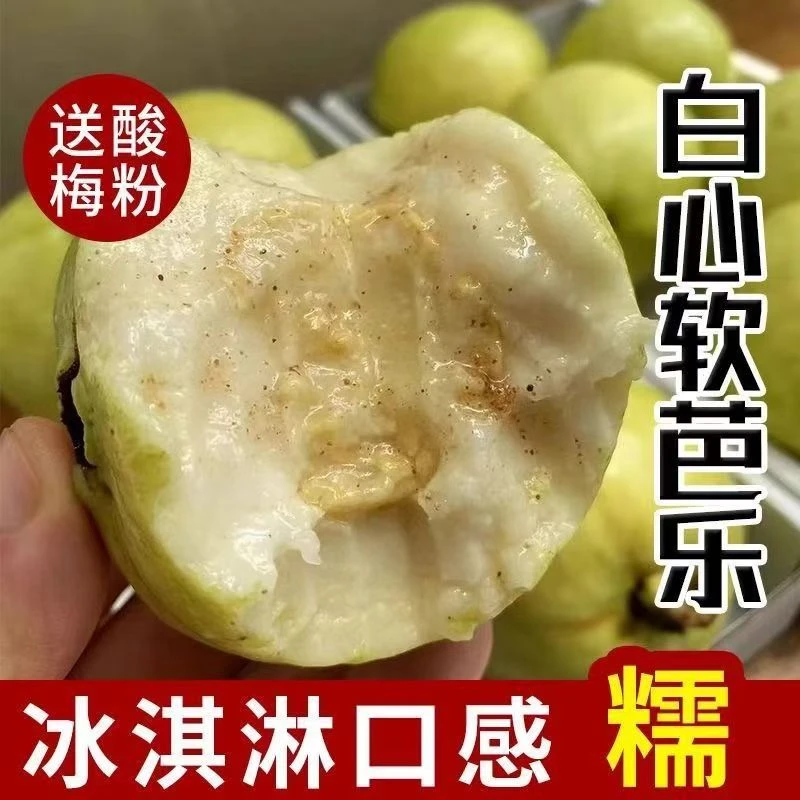 白心奶油芭乐【果园直发】3斤5斤大果软糯软心新鲜采摘-番石榴