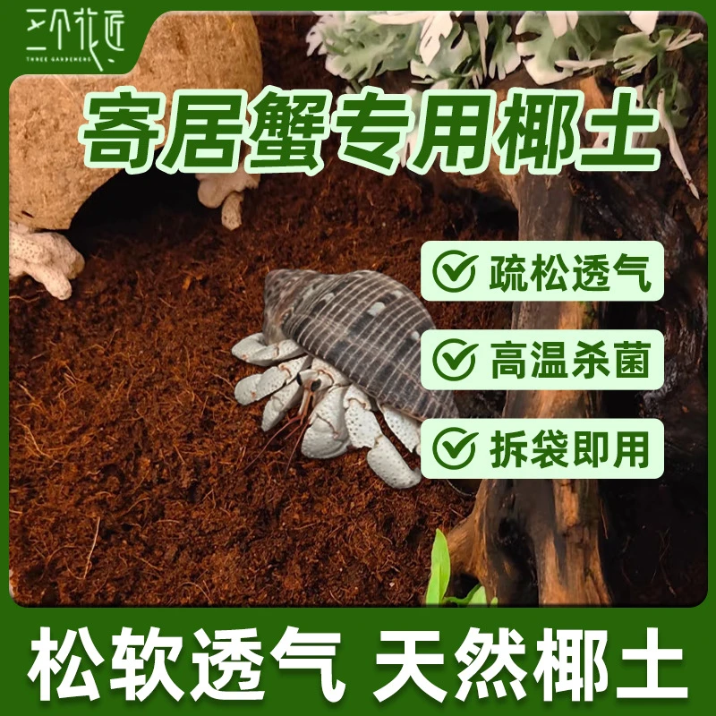 乌龟寄居蟹同学专用天然椰土椰砖保湿保温冬眠爬宠专属寄居蟹椰土