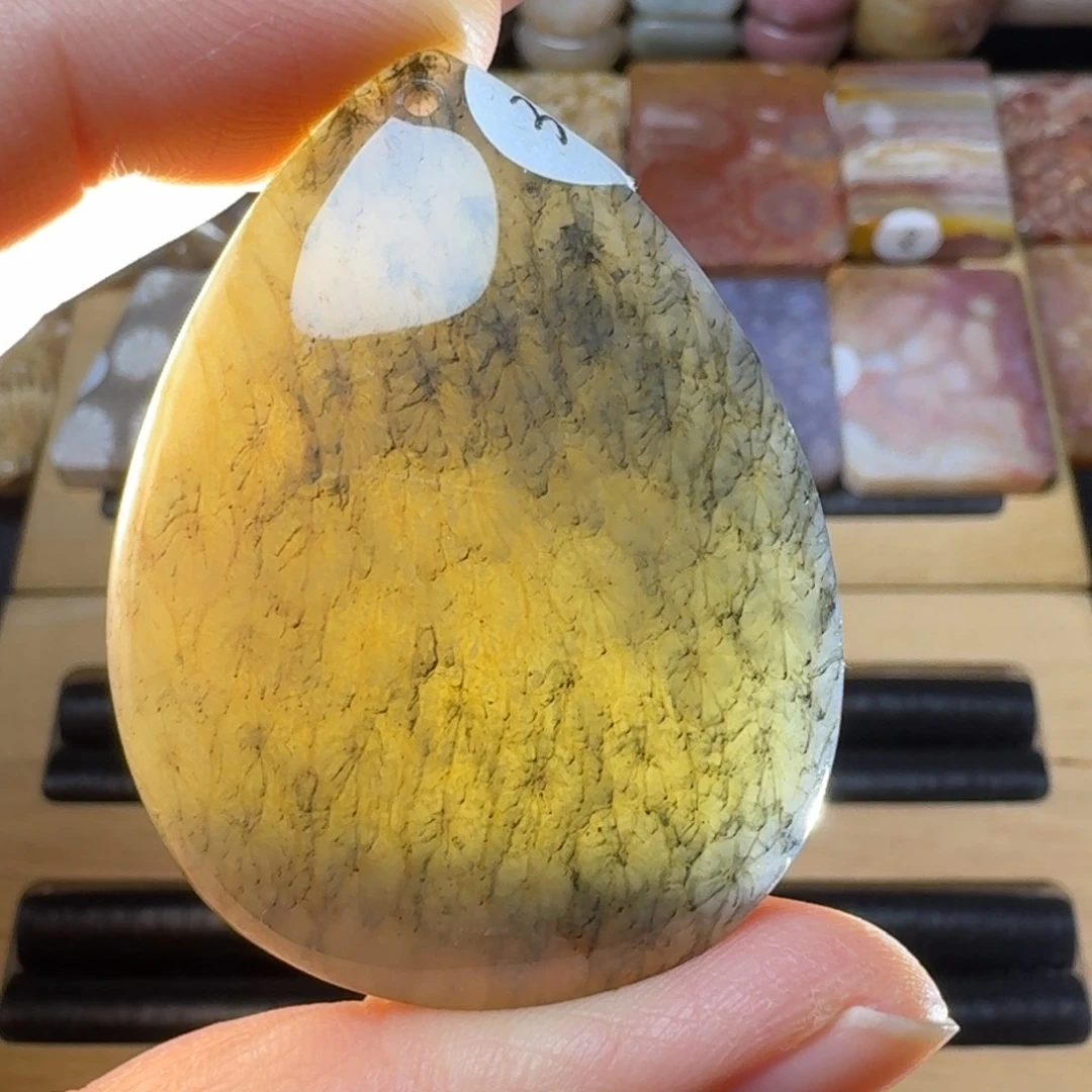 硅化玉黑柳树未镶嵌