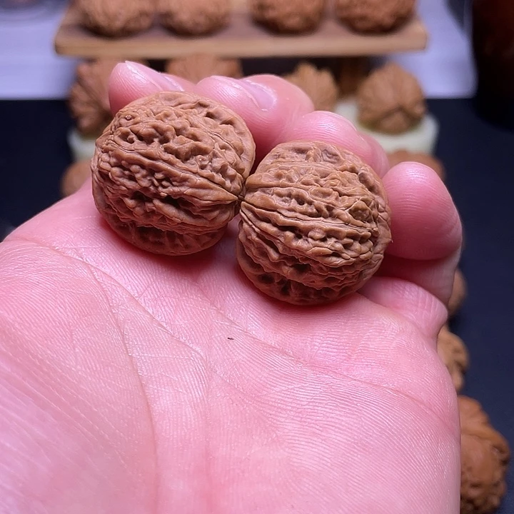 大叶紫檀（黑酸枝木类）