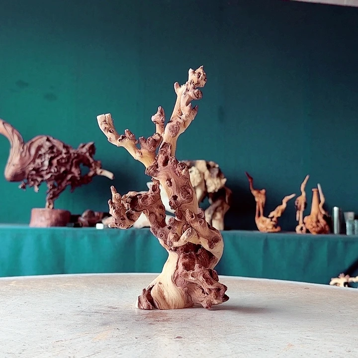 黑果木念**生047 金丝红木羊蹄甲半成品