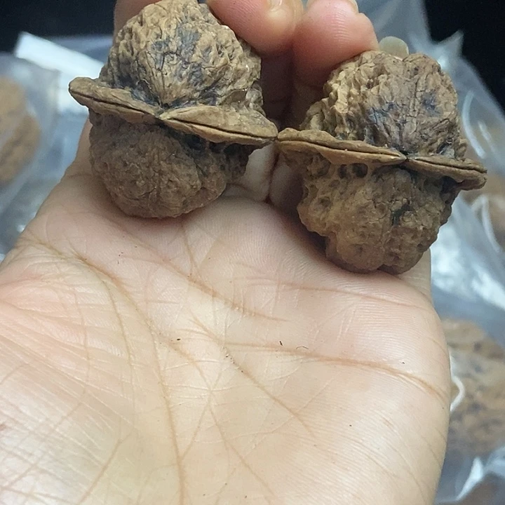 文玩核桃把件云南铁核桃基地53