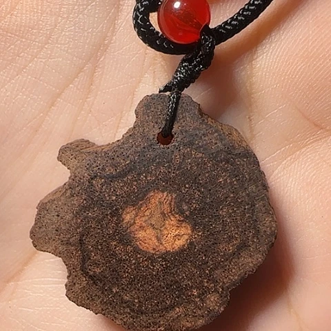 藤类降真香d1随形牌子多样性发其一