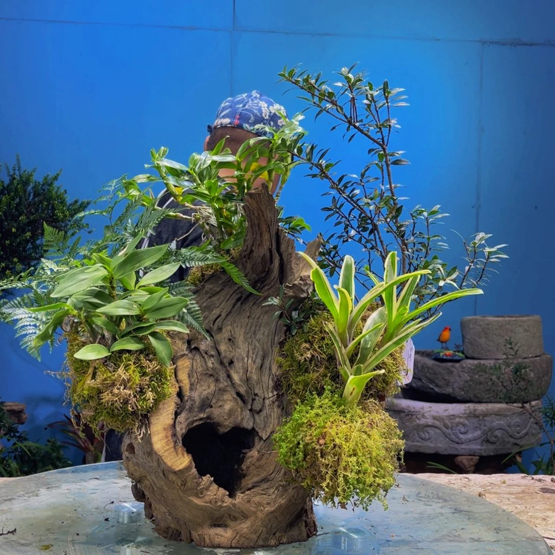 好****完全开放1111111111111