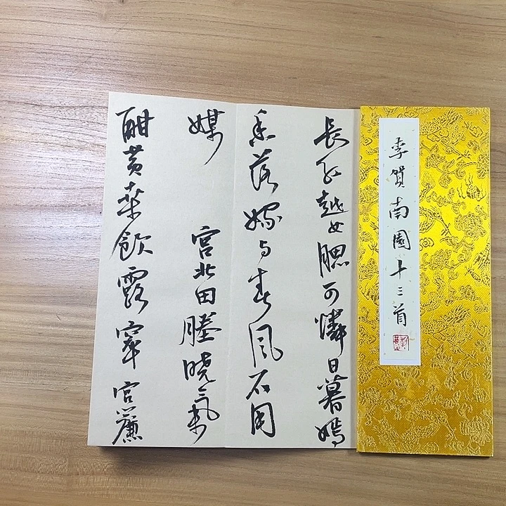 书法中书协会员作品