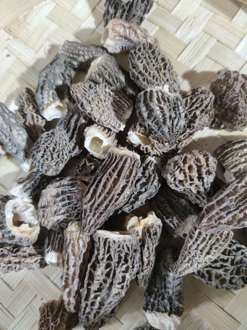 【无柄七妹羊肚菌250g】3-5cm秦岭山区头茬肉质饱满煲汤营养丰富