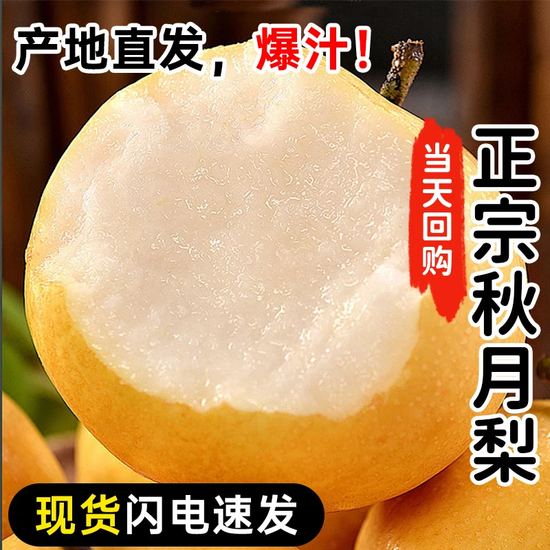 【正宗秋月梨】黄花鸭丰水甜梨 应季冰糖雪梨 新鲜水果 批发 包邮甜