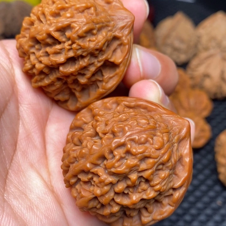 秦岭野生11111111111