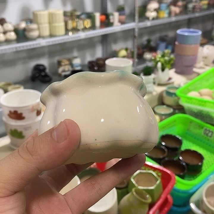 花盆抢购清货马上开始