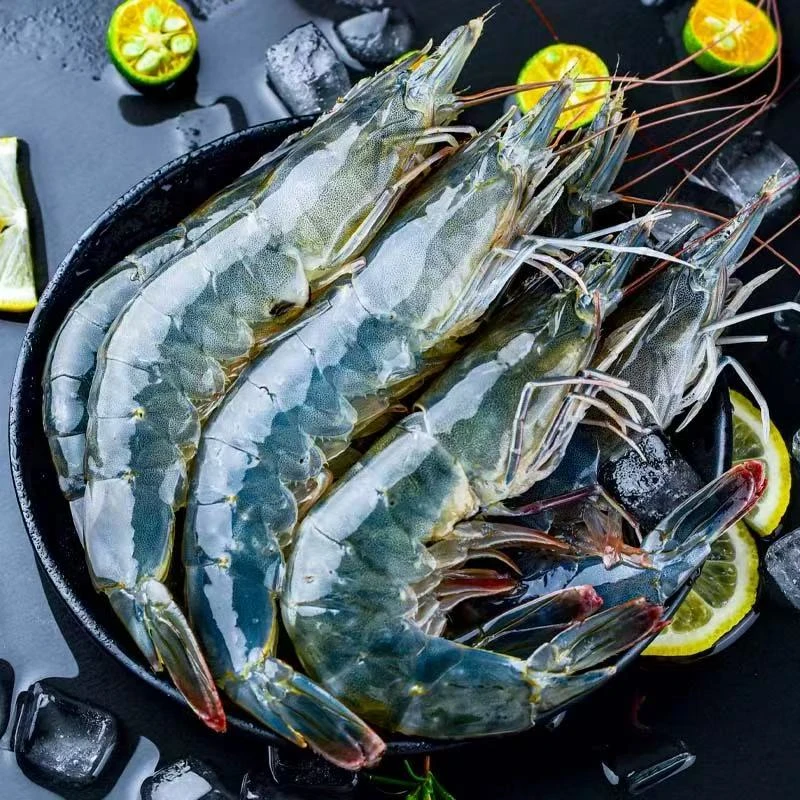 【茜】海洋大虾2030规格 15-18厘米/只 30-45只 到手3斤 冷链发货