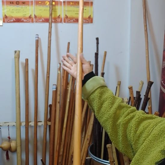 一***风秦岭石山红荀子，牛筋木