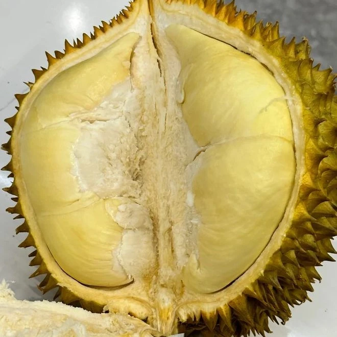 现剥金枕榴莲新鲜肉半斤核小金枕泰国