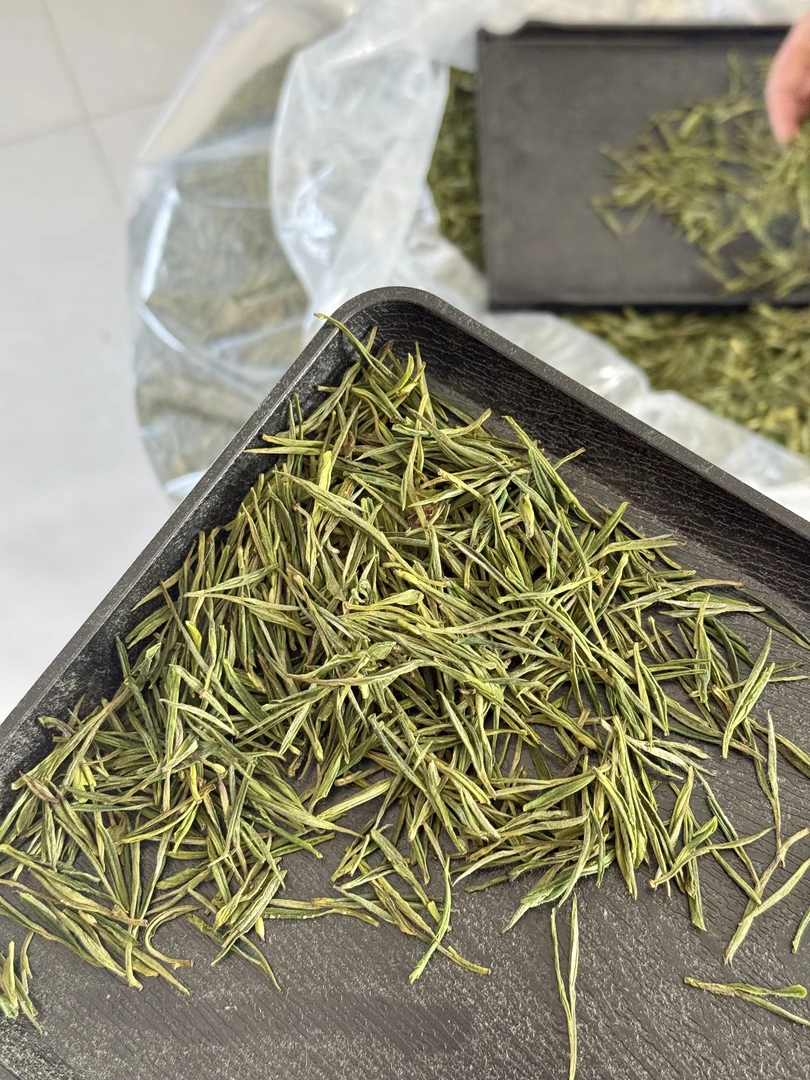 【D1】2025年安吉白茶昆铜里江新茶