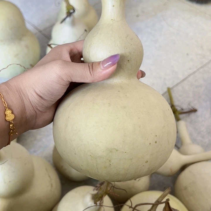 葫芦葫芦中国大陆广