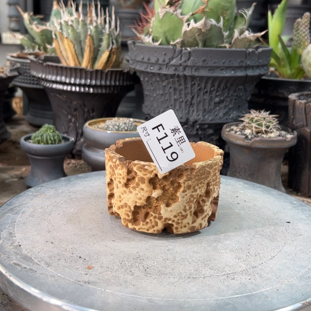 景德镇手工素里内口8.5高6