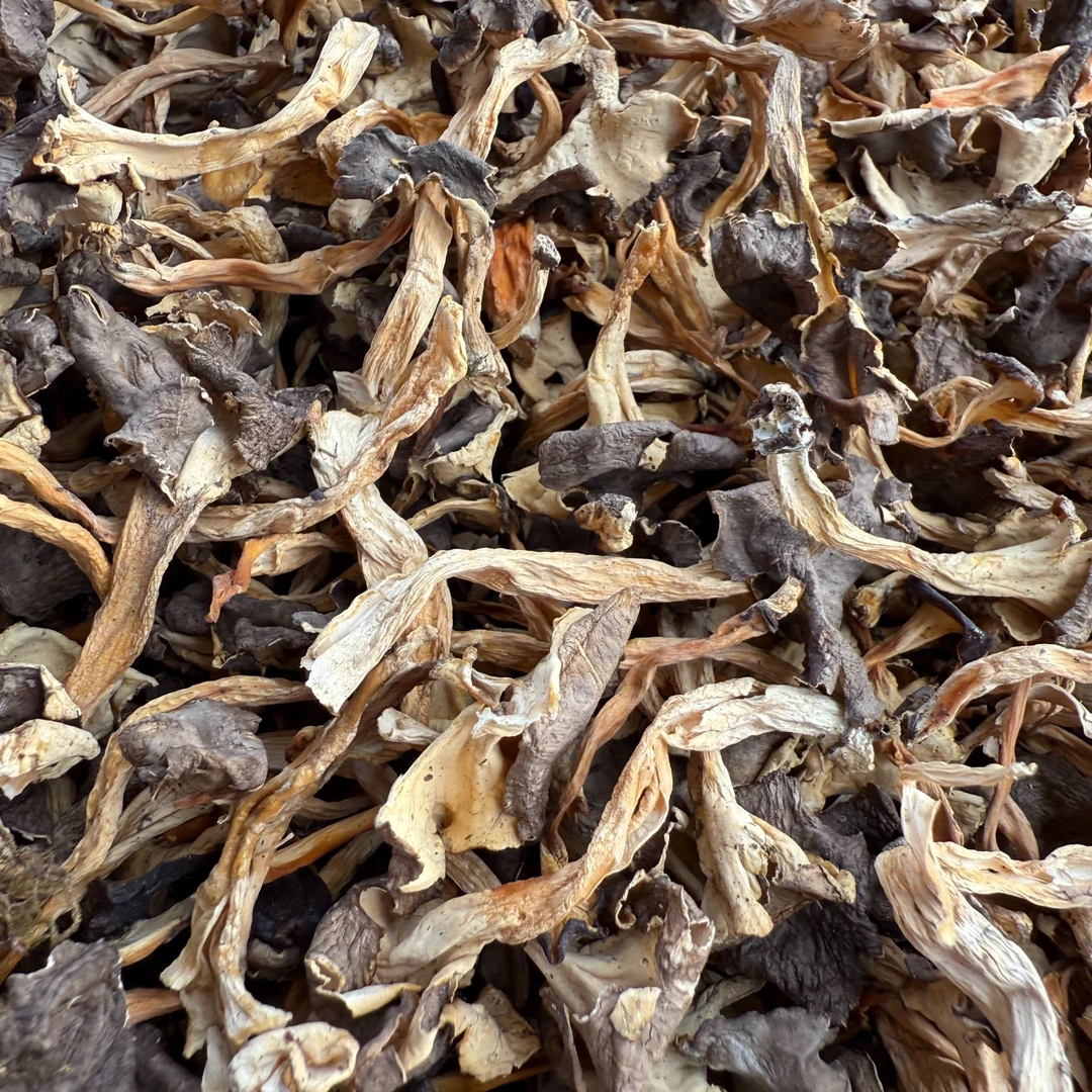 【桂花菌】云南丽江桂花菌金丝菌喇叭菌肉质脆嫩桂花香气生态农产品