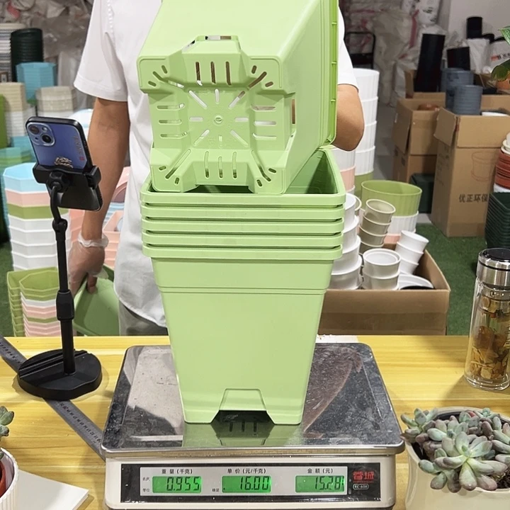 方盆口20高22果绿色6个无托正品