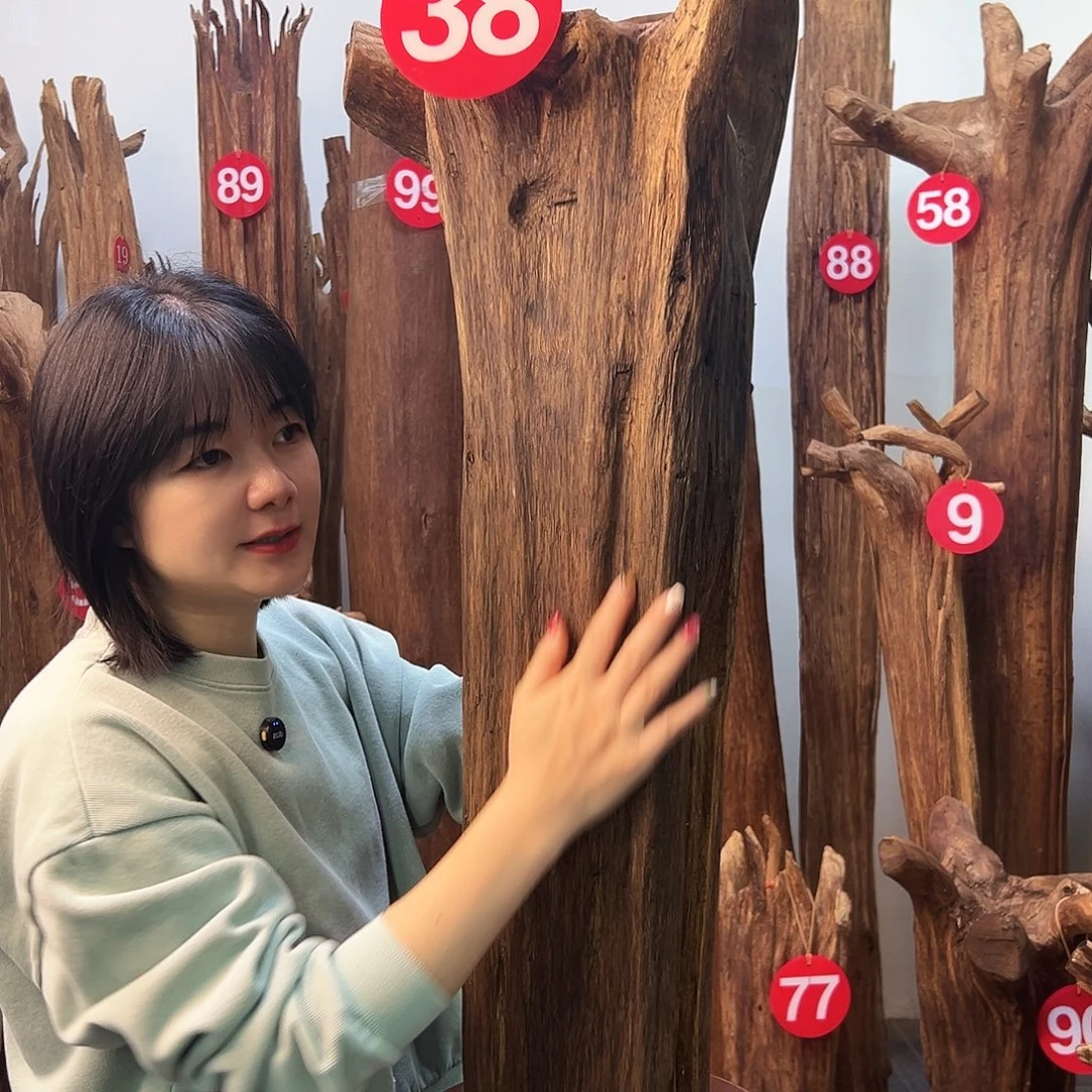 摆件沉香天然沉香原材料高品质