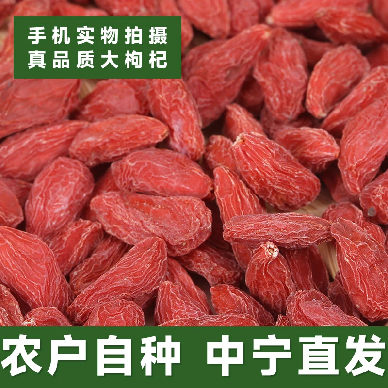宁夏中宁农家自种头茬大颗粒枸杞无硫熏可泡茶泡酒干货250g500g