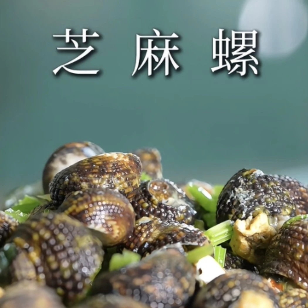 《长海县二姐》岛里深海手捡芝麻螺2斤(带壳)