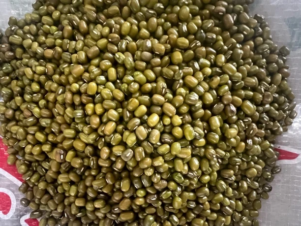 （小泽）云南农家绿豆