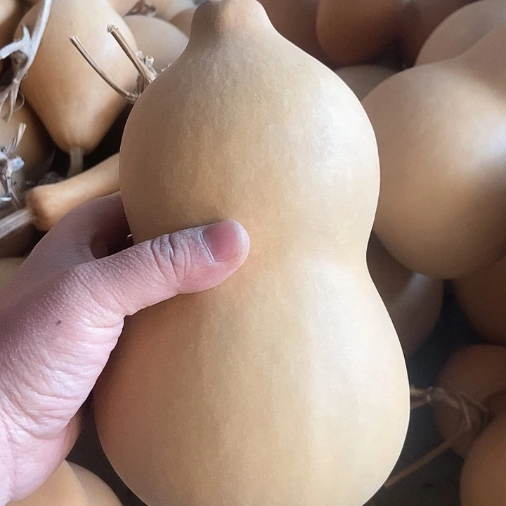 南山佳佳恭喜发财