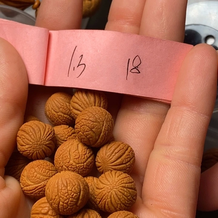 吊坠桃核陕西秦岭山桃核