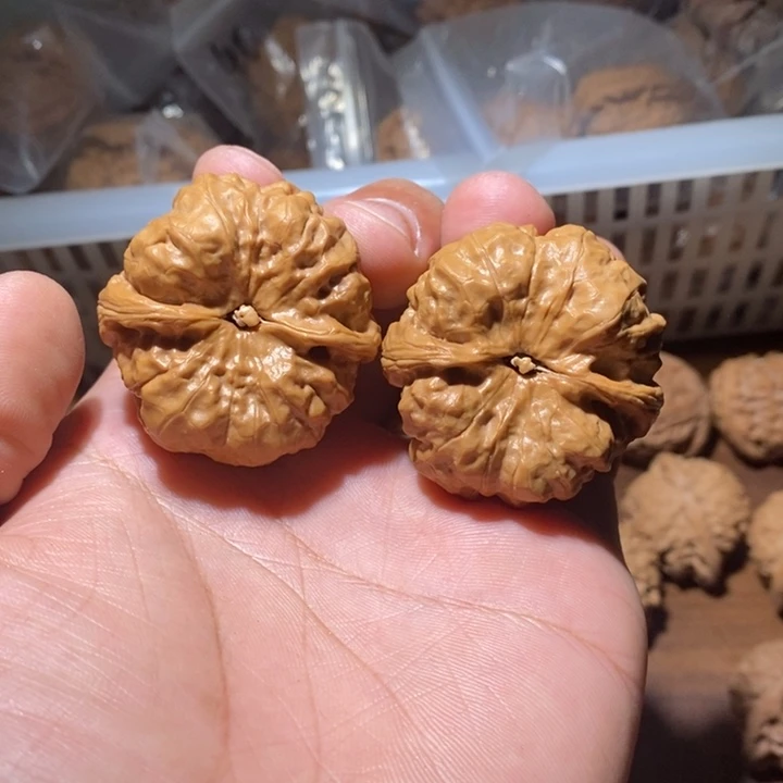 肉***子大叶紫檀（黑酸枝木类）
