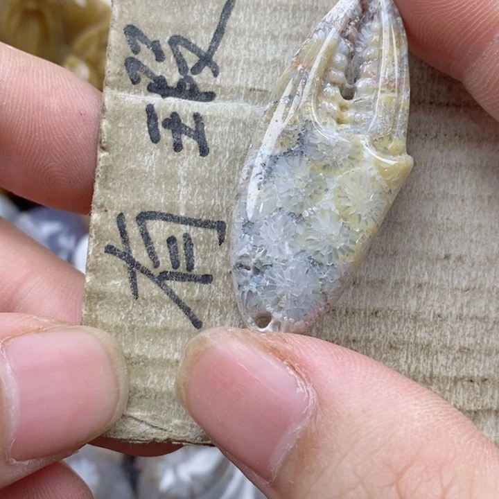 颈饰未镶嵌硅化珊瑚（珊瑚玉）A****y