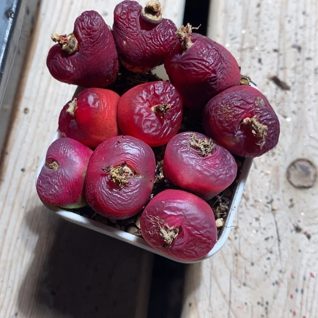 腾*13153有伤一组一组