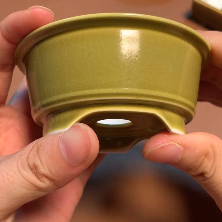 棉***糖一个月没见了你的