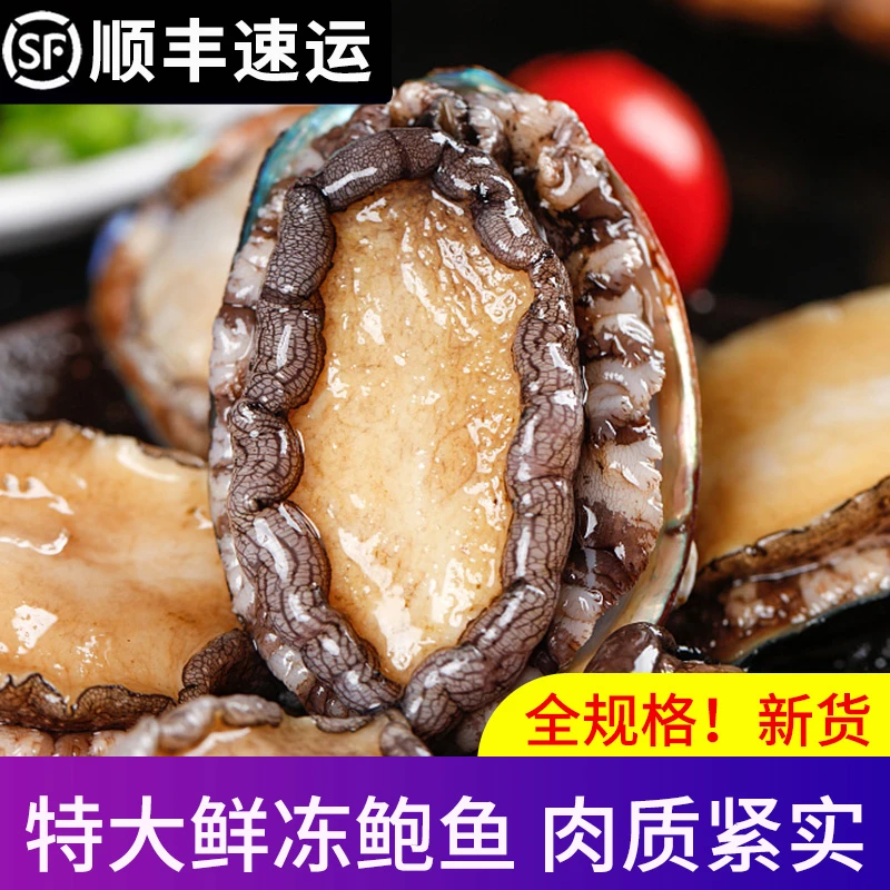 鲍鱼肉 特大鲍鱼肉手剥纯500克 连云港发货鲜冻