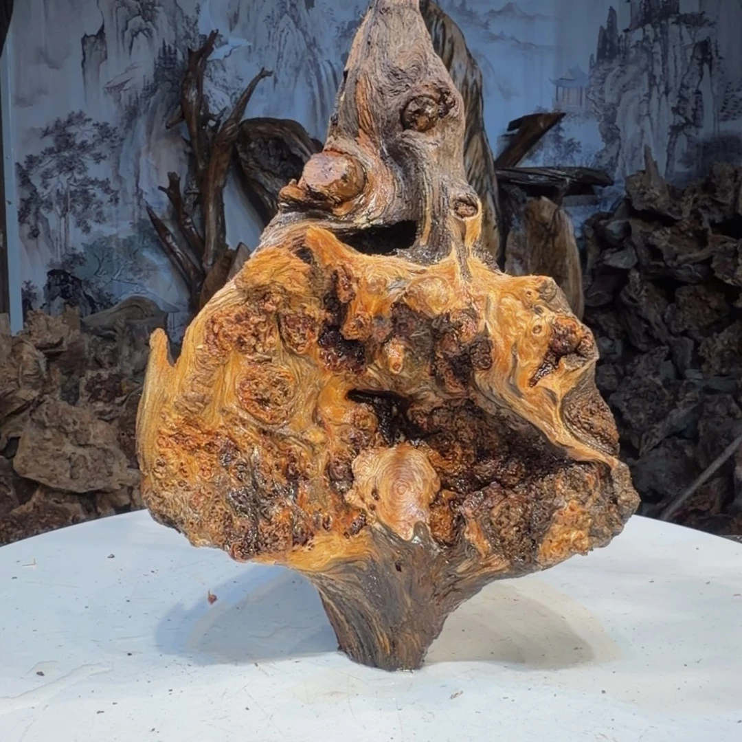 ****雅木三丰琥珀木 天然摆件7