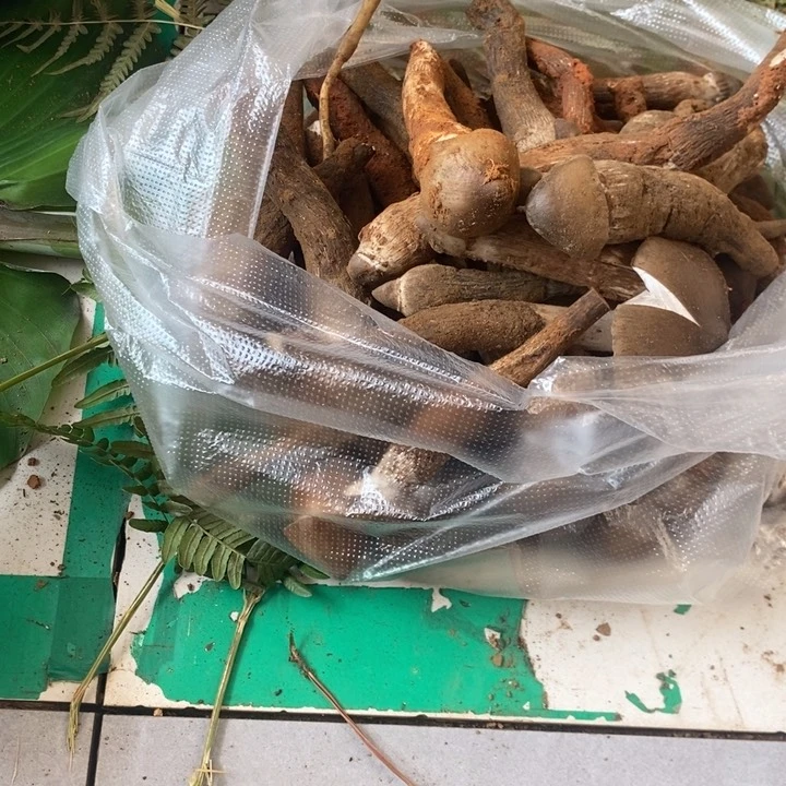 ****࿐大陆中国云南省石屏县中国大陆