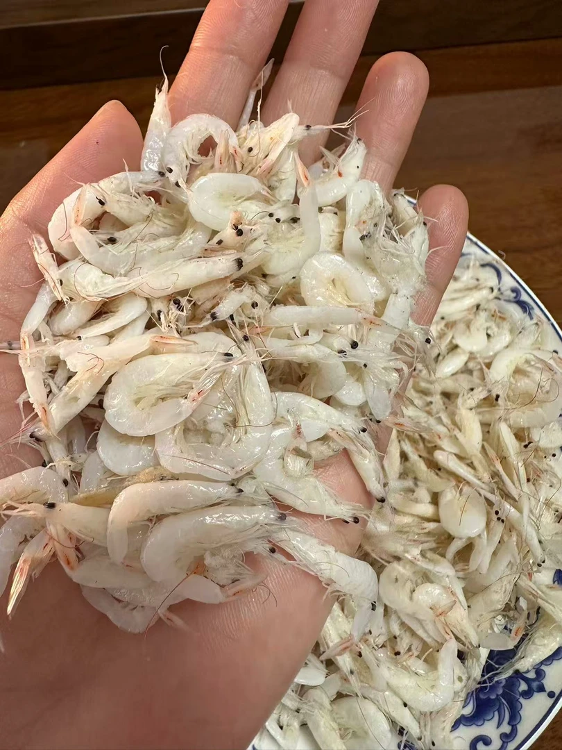 锅捞虾皮 毛虾 渤海湾拉锅沿虾皮鲜