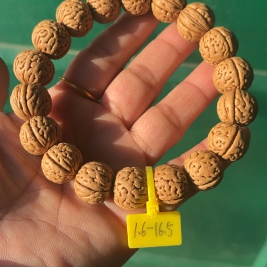 木质野生桃核宽脐