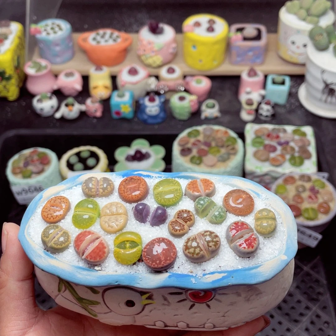 w9650 -带盆土发货-零下地区拍保温箱