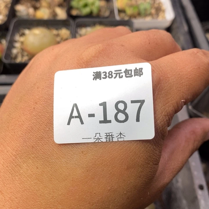 风****~2669999999999988