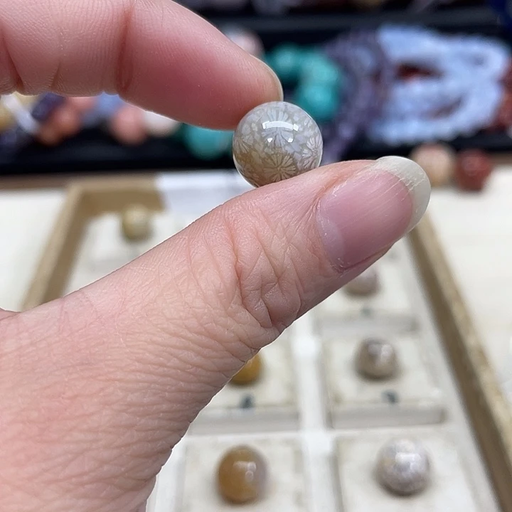 未镶嵌手串硅化珊瑚（珊瑚玉）聚**?424