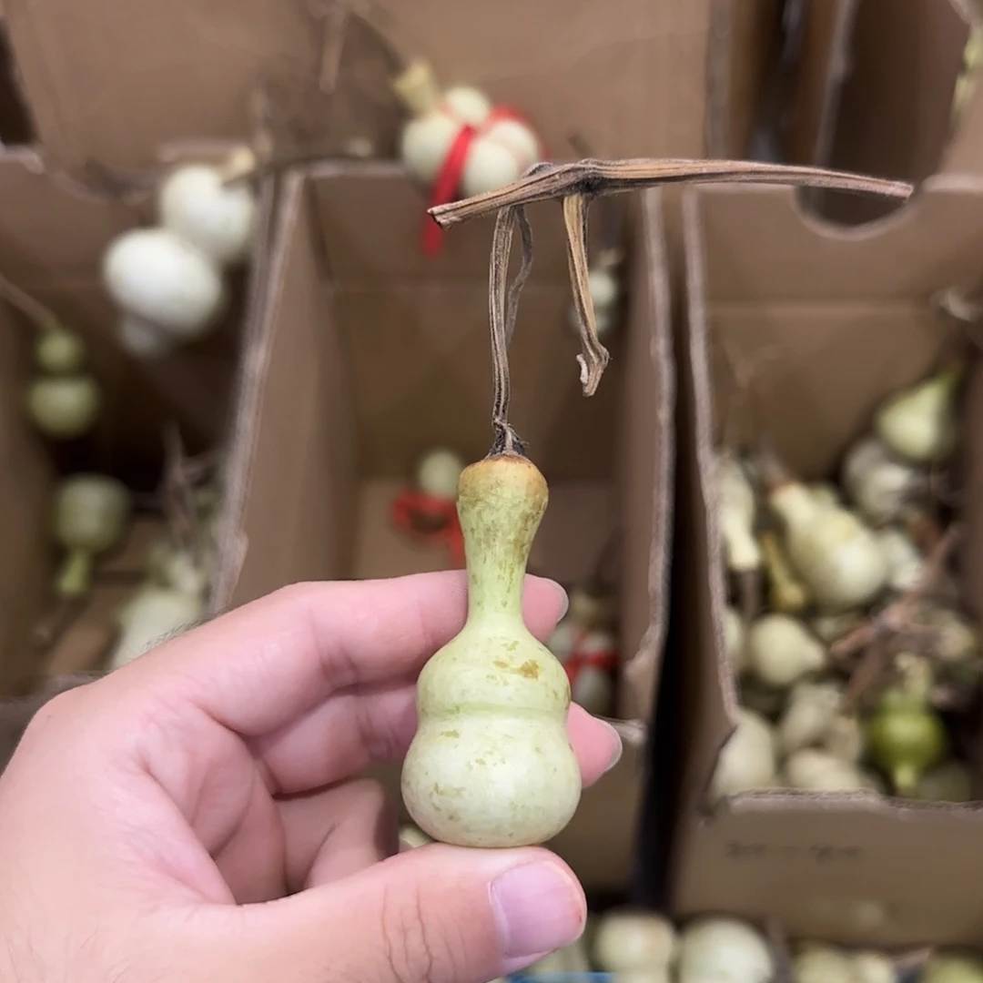 北***头葫芦gggghhh更好古古惑惑