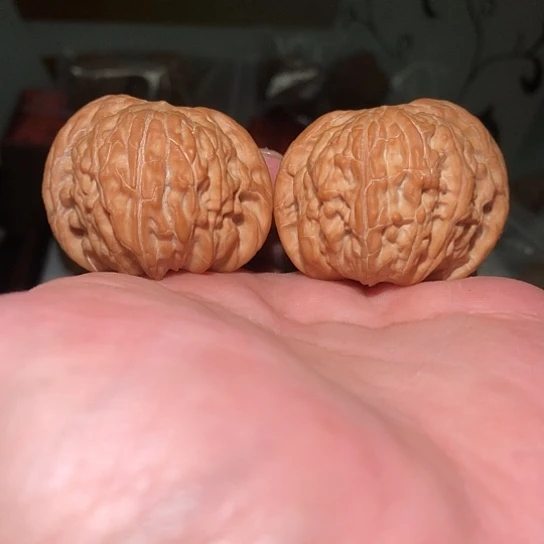 有机玻璃42精品蝴蝶磨盘