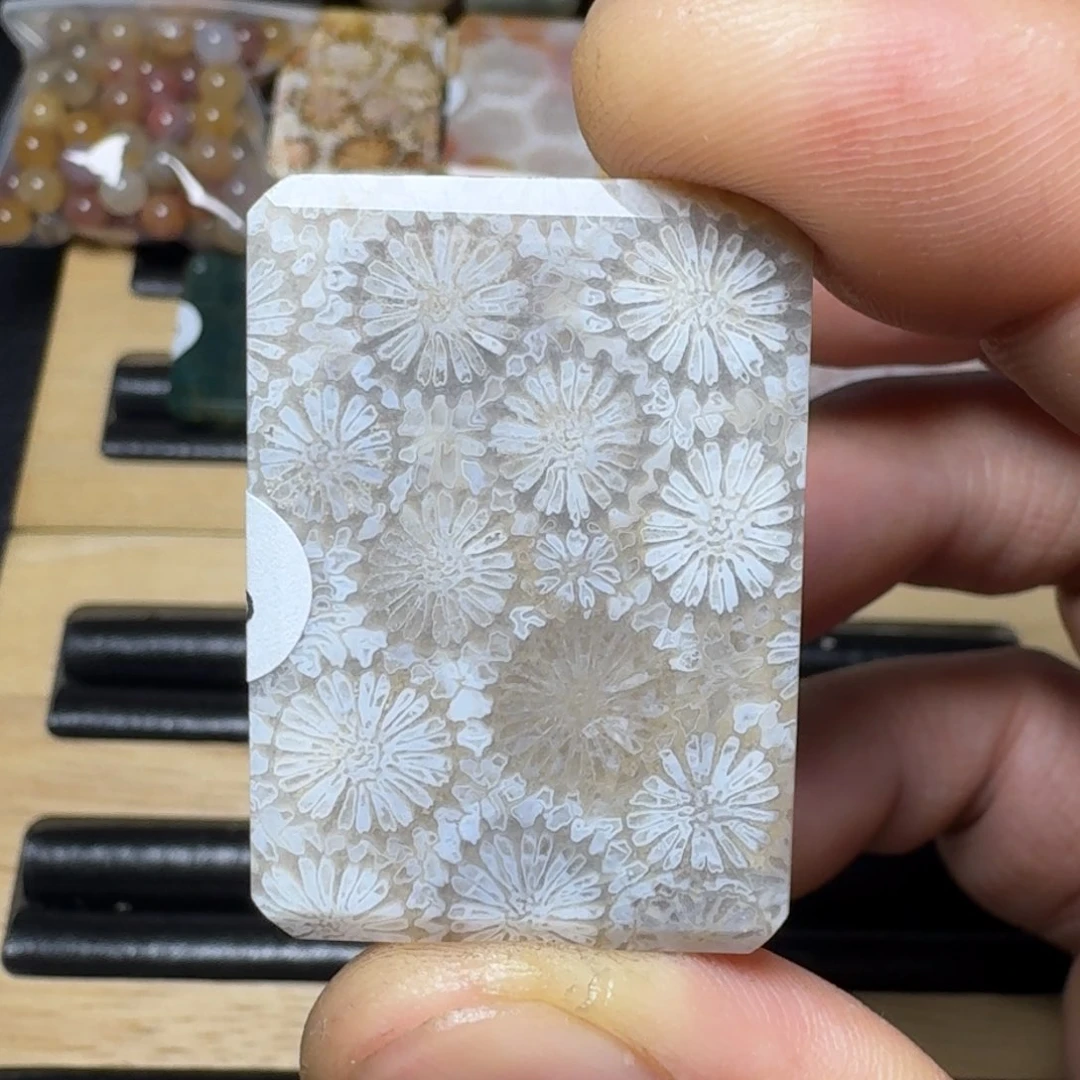 硅化珊瑚（珊瑚玉）纯天然色有机玉石未镶嵌