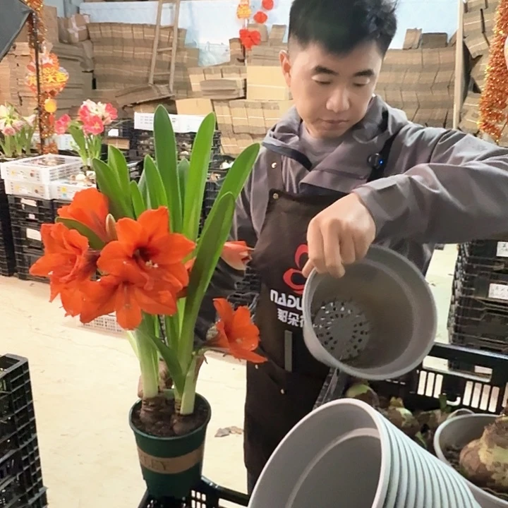 平***淡基地球随机一颗，，，，