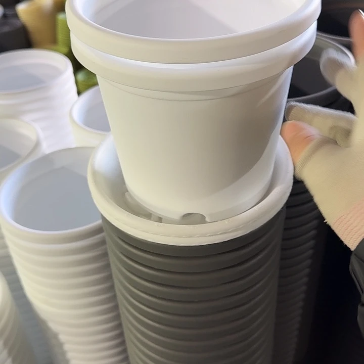 四季2#口径17白色6个带托