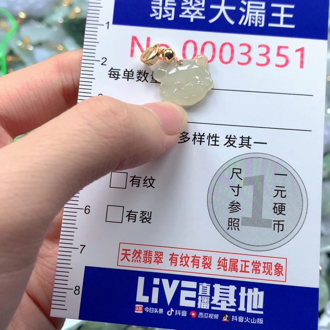 翡翠未镶嵌吊坠(不含链)