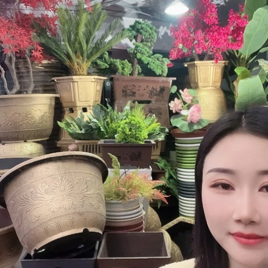 复合凤纹50盆4个有孔