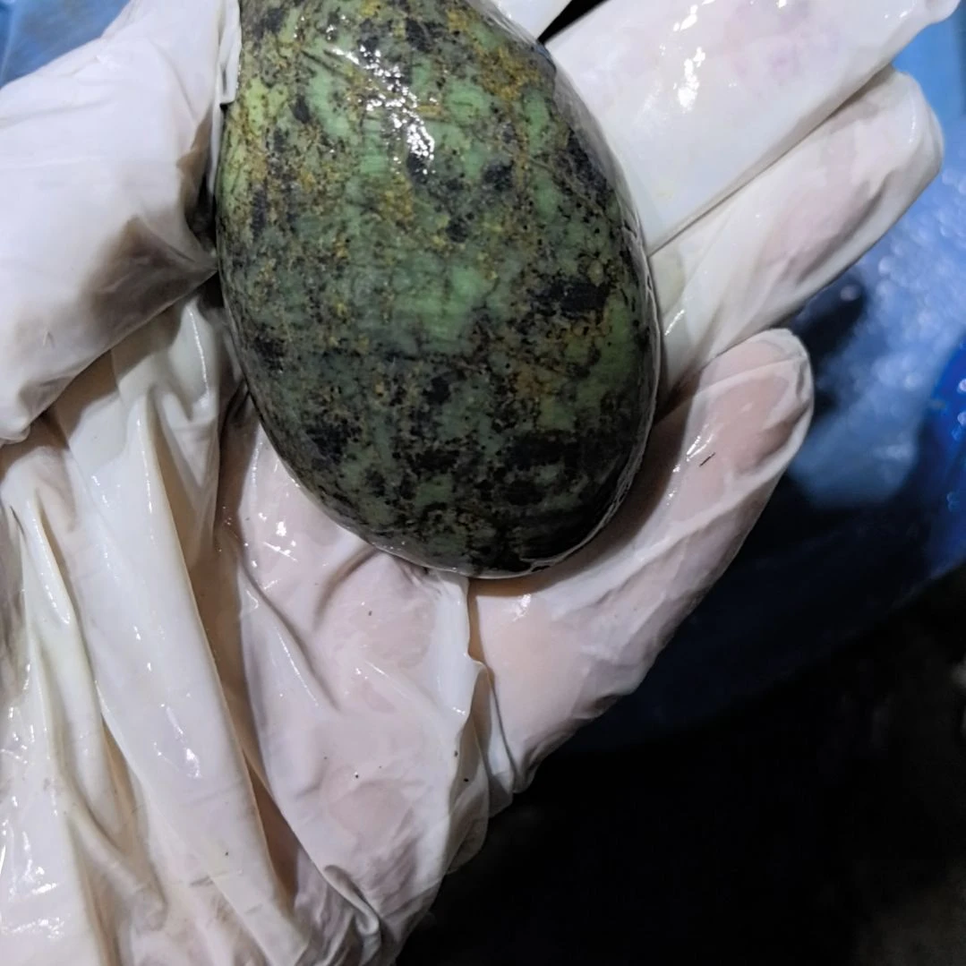 云***清有机玻璃藏玉药王石原石