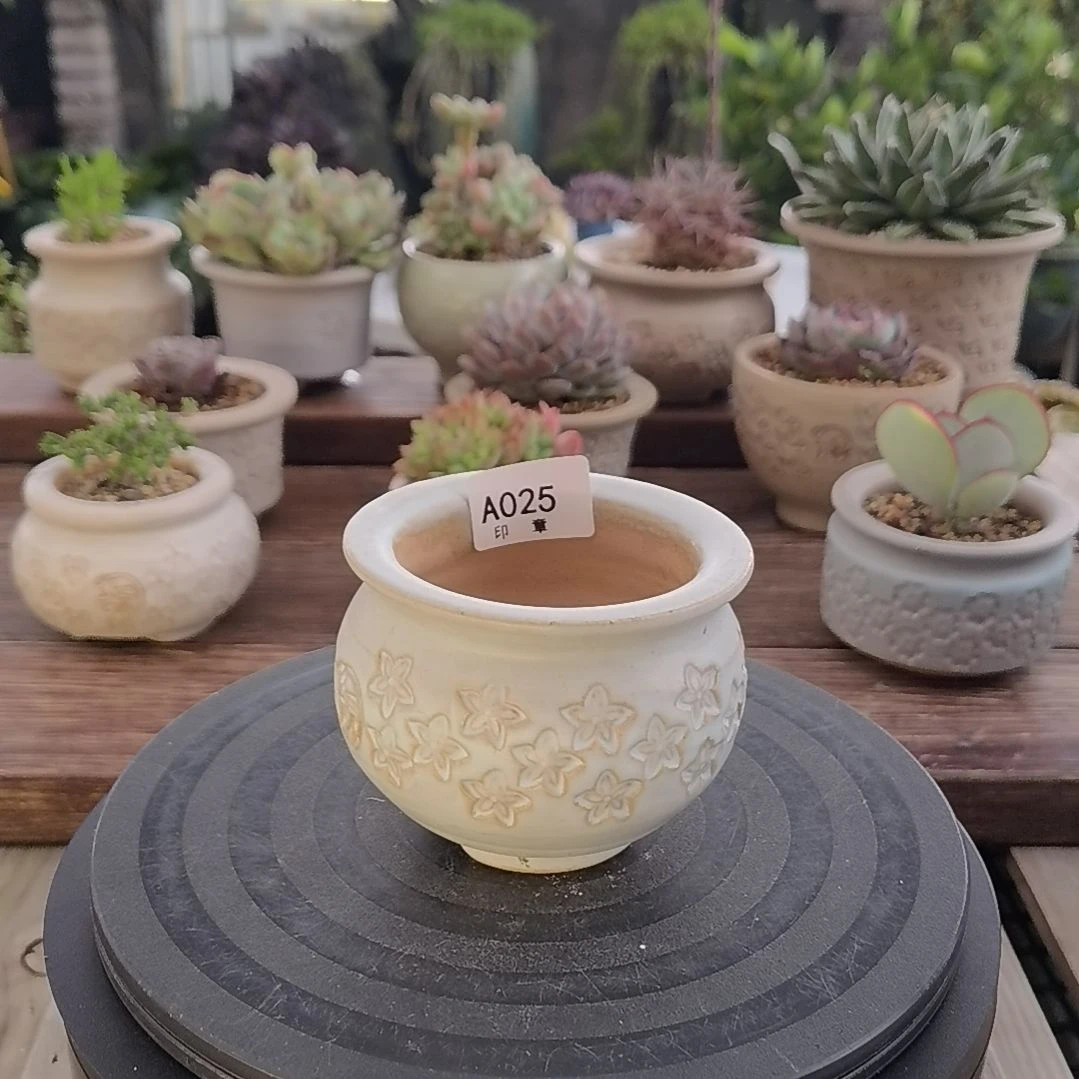 印章多肉花盆A025